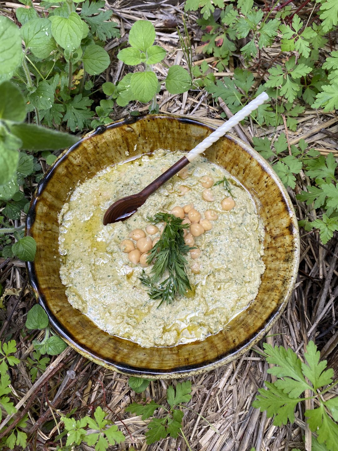 Houmous fanes des carottes